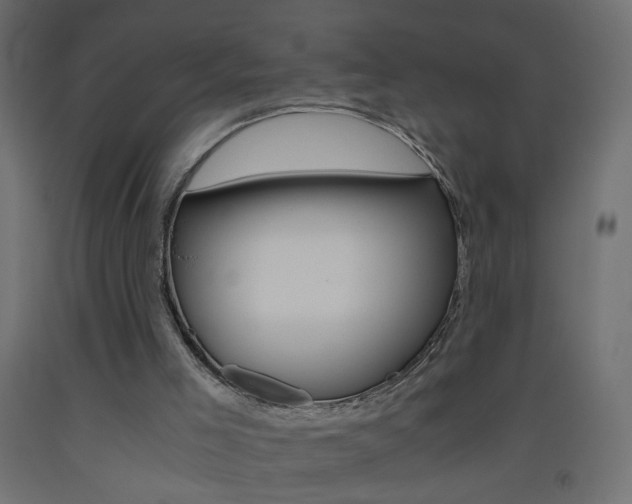 X0000093440005200710120955