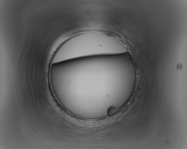X0000093440006200710120955