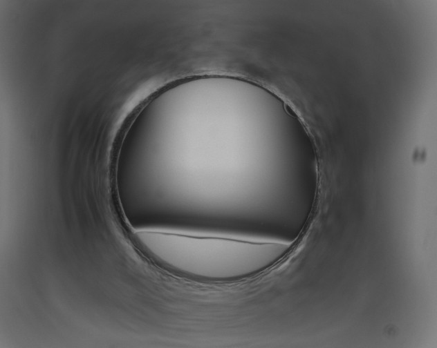 X0000093440008200710120955