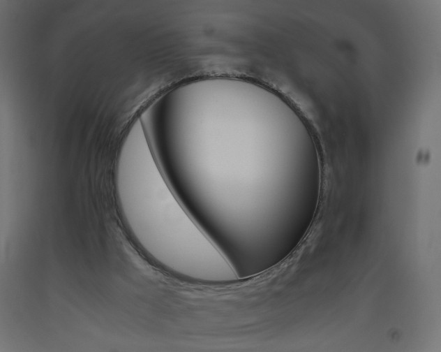 X0000093440009200710120955