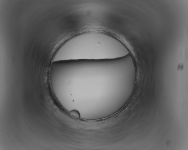 X0000093440010200710120955