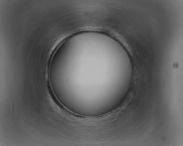 X0000093440011200710120955