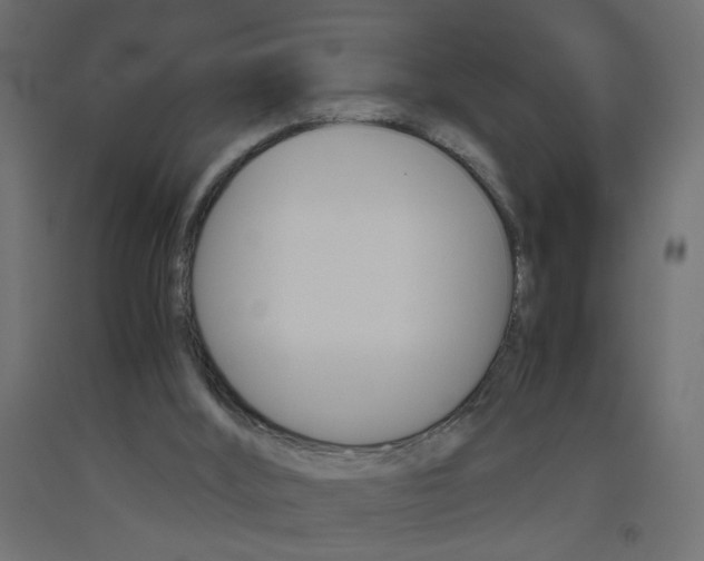 X0000093440012200710120955