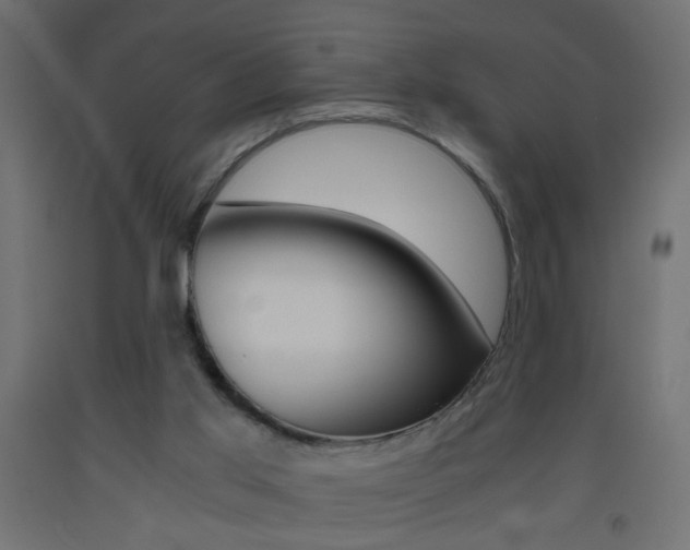 X0000093440013200710120955