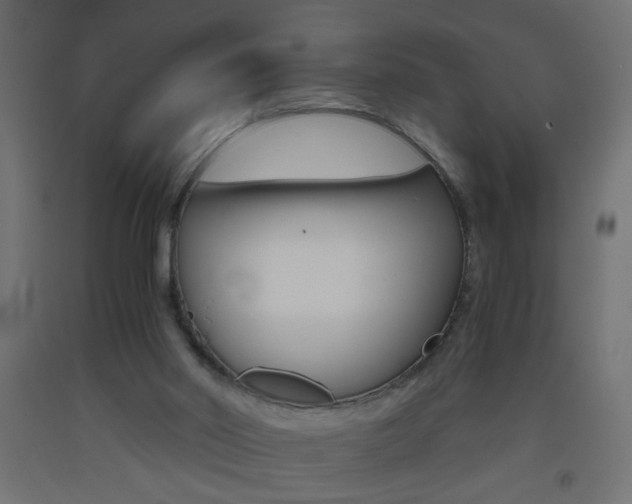 X0000093440014200710120955