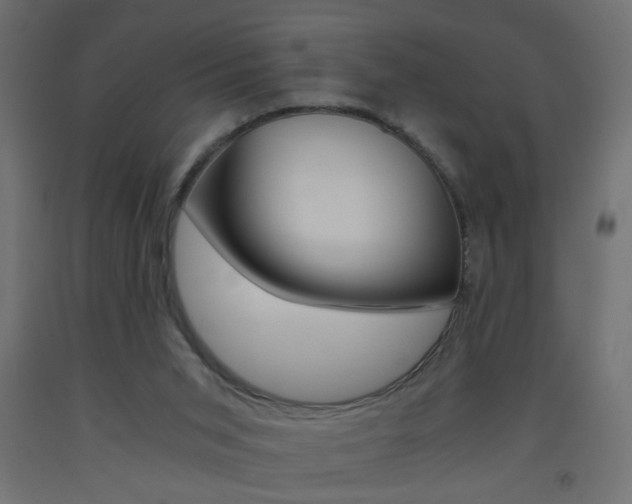 X0000093440015200710120955