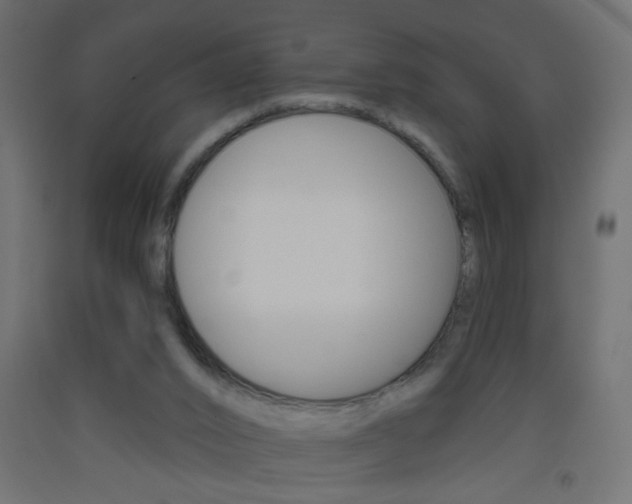 X0000093440016200710120955
