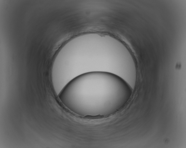 X0000093440019200710120955