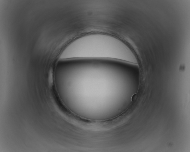 X0000093440020200710120955