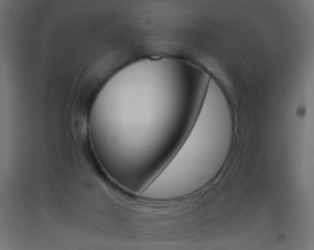 X0000093440021200710120955