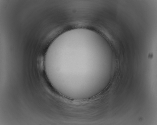X0000093440022200710120955