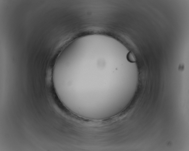 X0000093440024200710120955