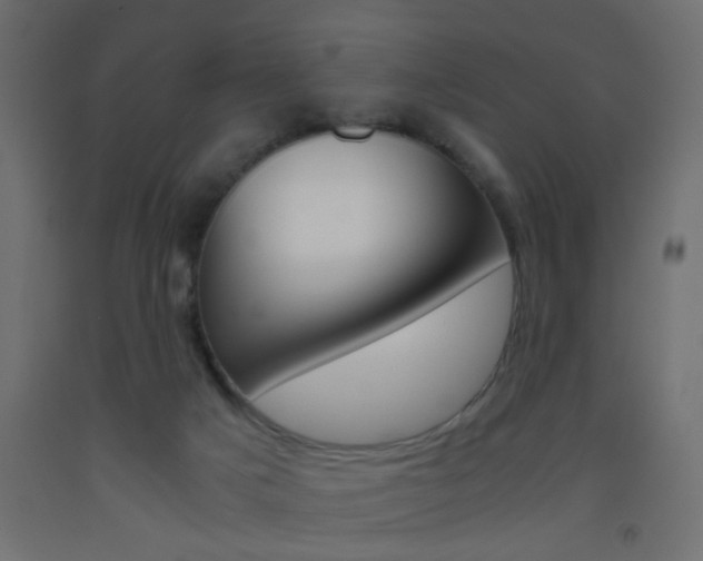 X0000093440025200710120955