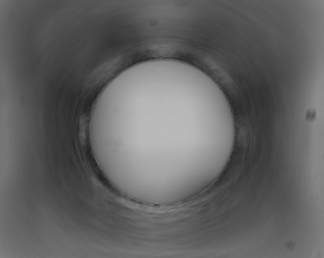 X0000093440026200710120955