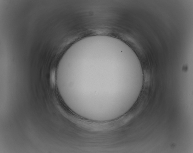 X0000093440028200710120954