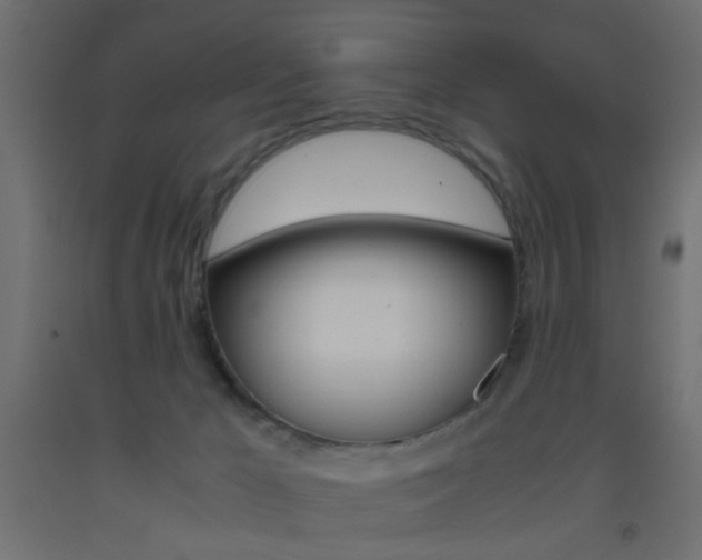 X0000093440029200710120954