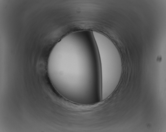 X0000093440031200710120954