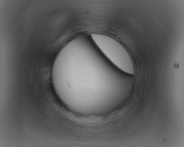 X0000093440032200710120954