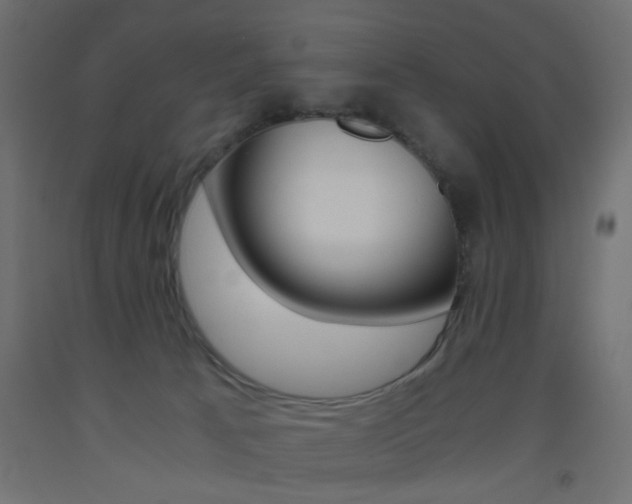 X0000093440033200710120954