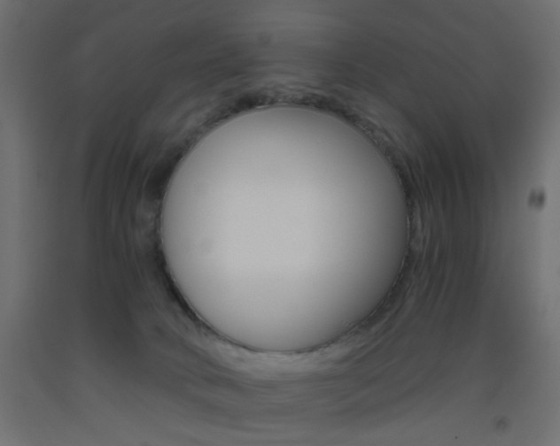 X0000093440034200710120954