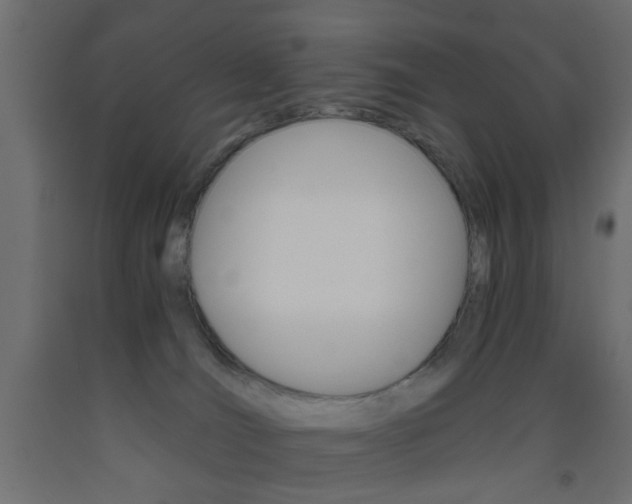 X0000093440036200710120954