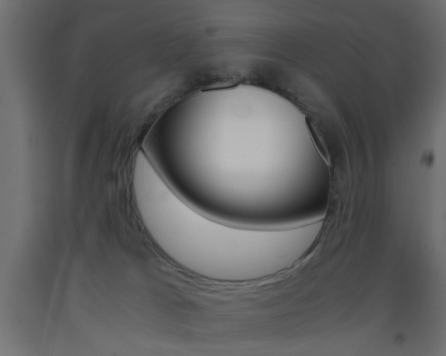 X0000093440037200710120954