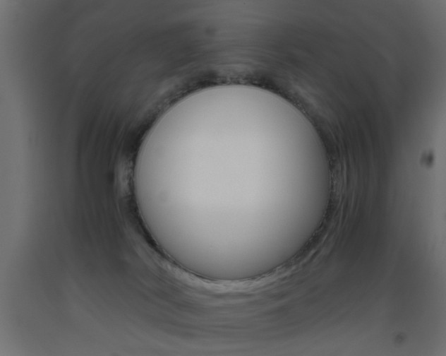 X0000093440038200710120954