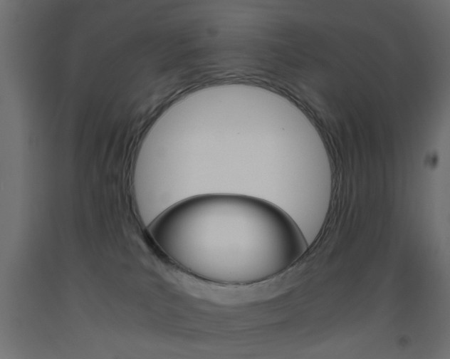 X0000093440039200710120954