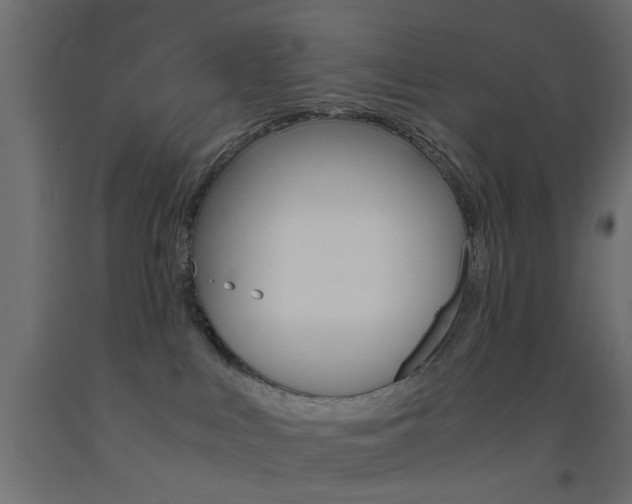 X0000093440043200710120954