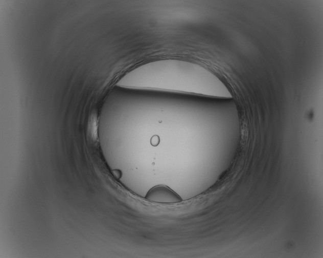 X0000093440046200710120954