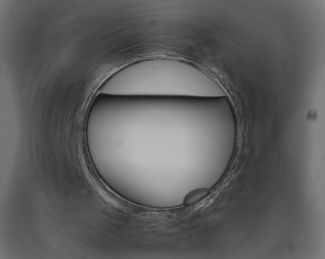 X0000093440049200710120953