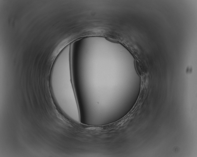 X0000093440051200710120953