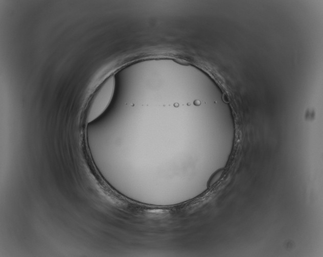 X0000093440053200710120953