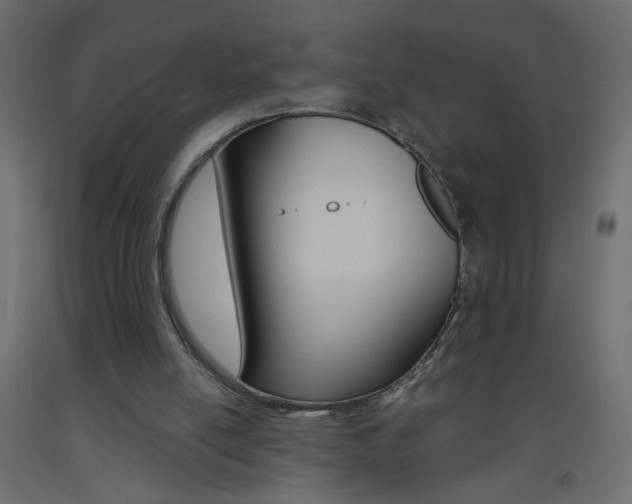 X0000093440054200710120953