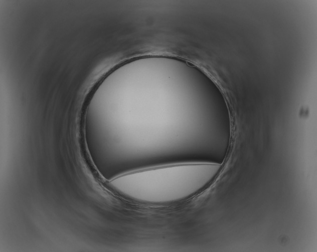 X0000093440055200710120953