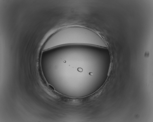 X0000093440056200710120953