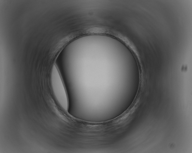 X0000093440057200710120953