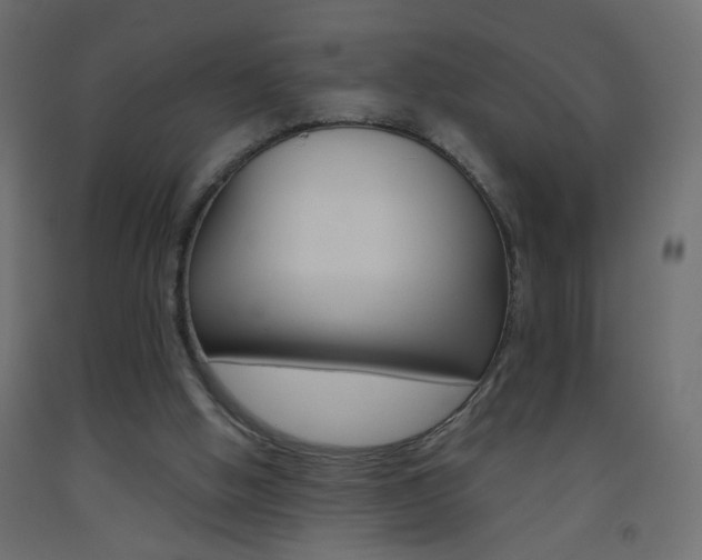 X0000093440058200710120953