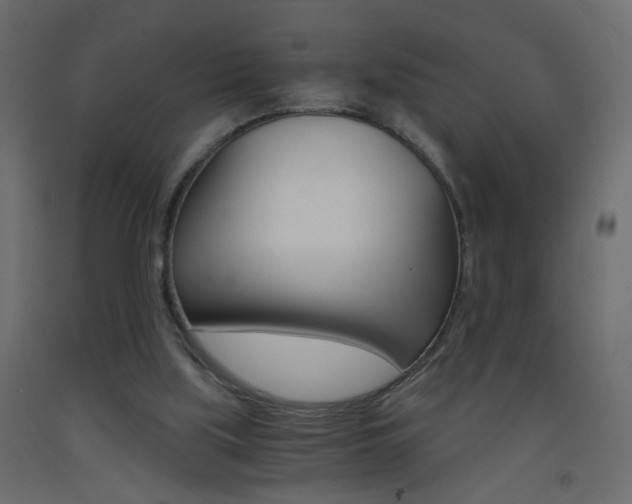 X0000093440059200710120953