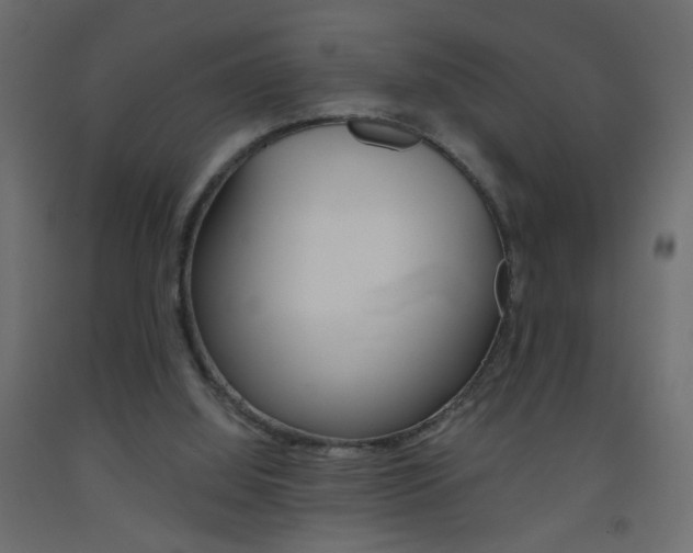 X0000093440060200710120953