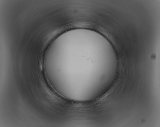 X0000093440062200710120953