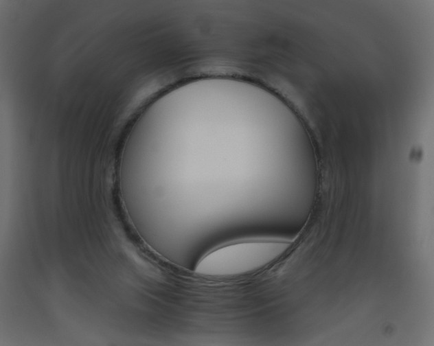 X0000093440063200710120953