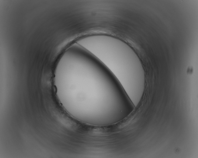 X0000093440064200710120954