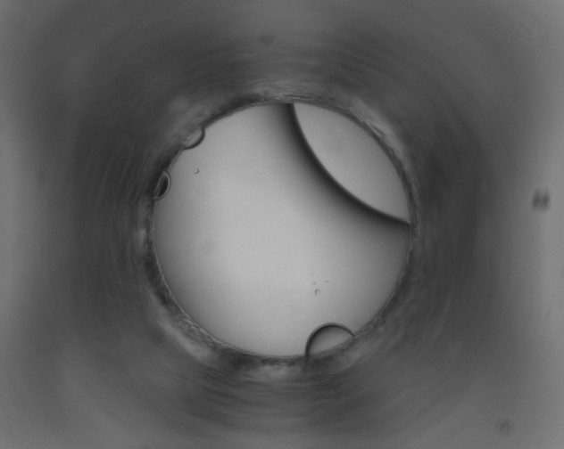 X0000093440065200710120954