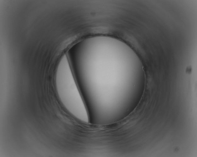 X0000093440068200710120954