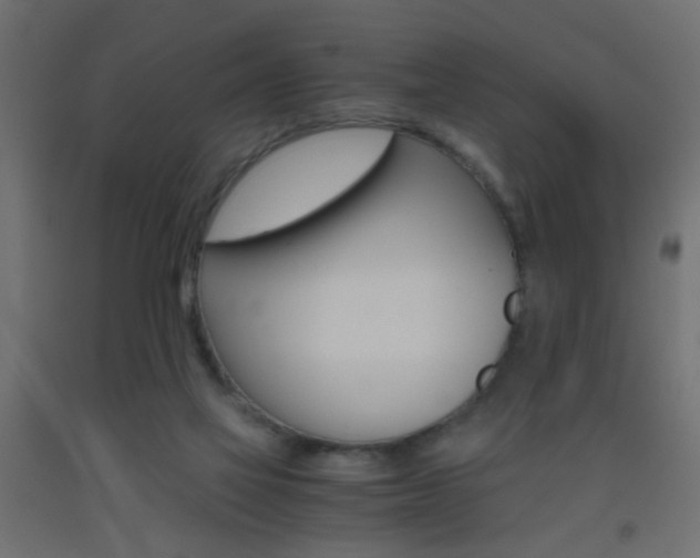 X0000093440069200710120954