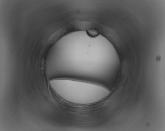 X0000093440073200710120954