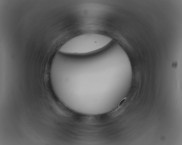 X0000093440074200710120954