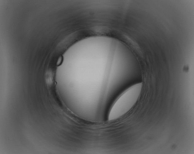 X0000093440075200710120954