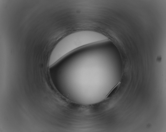 X0000093440076200710120954